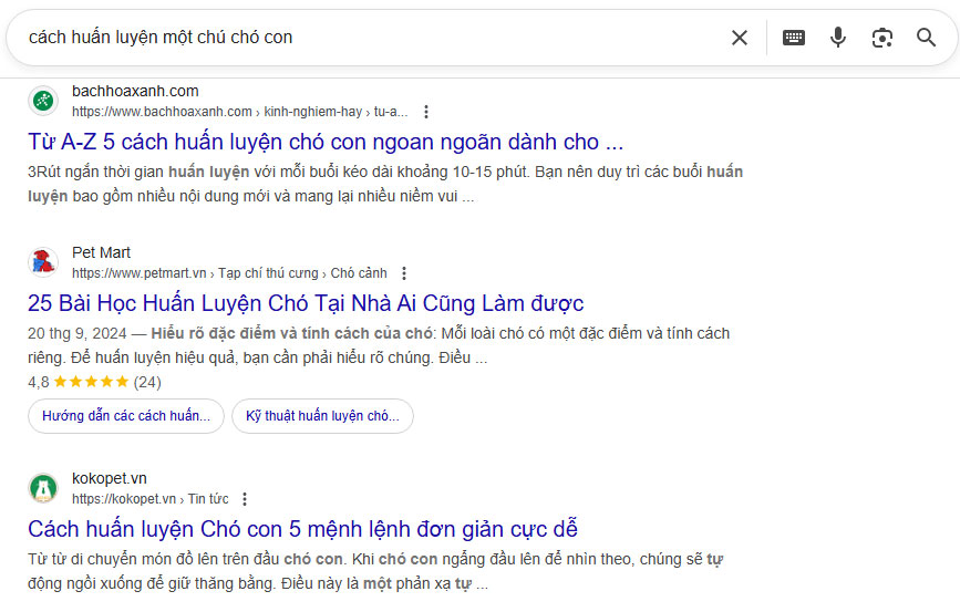 cách huấn luyện một chú chó con