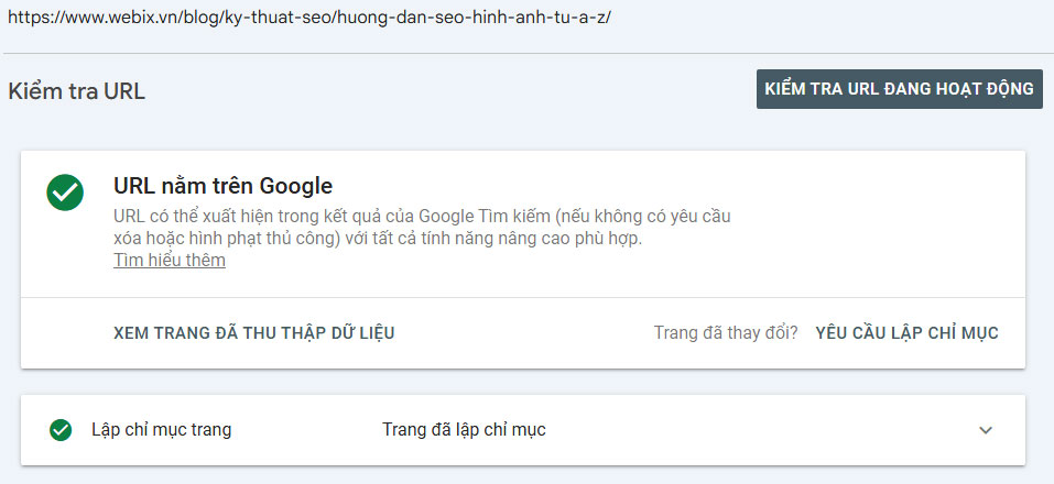 Kiếm tra url của bạn đã lập chỉ mục hay chưa