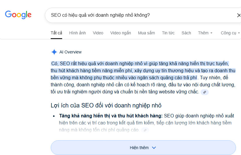 Vậy thì SEO có hiệu quả với doanh nghiệp nhỏ không?