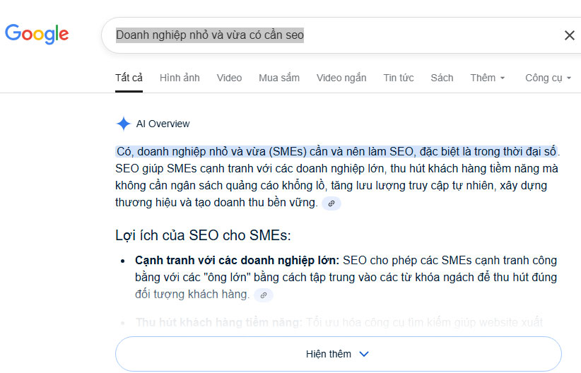 SEO dành  cho doanh nghiệp vừa và nhỏ là gì?