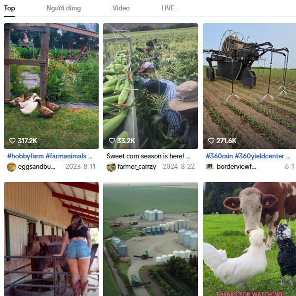Tìm cộng đồng phụ TikTok