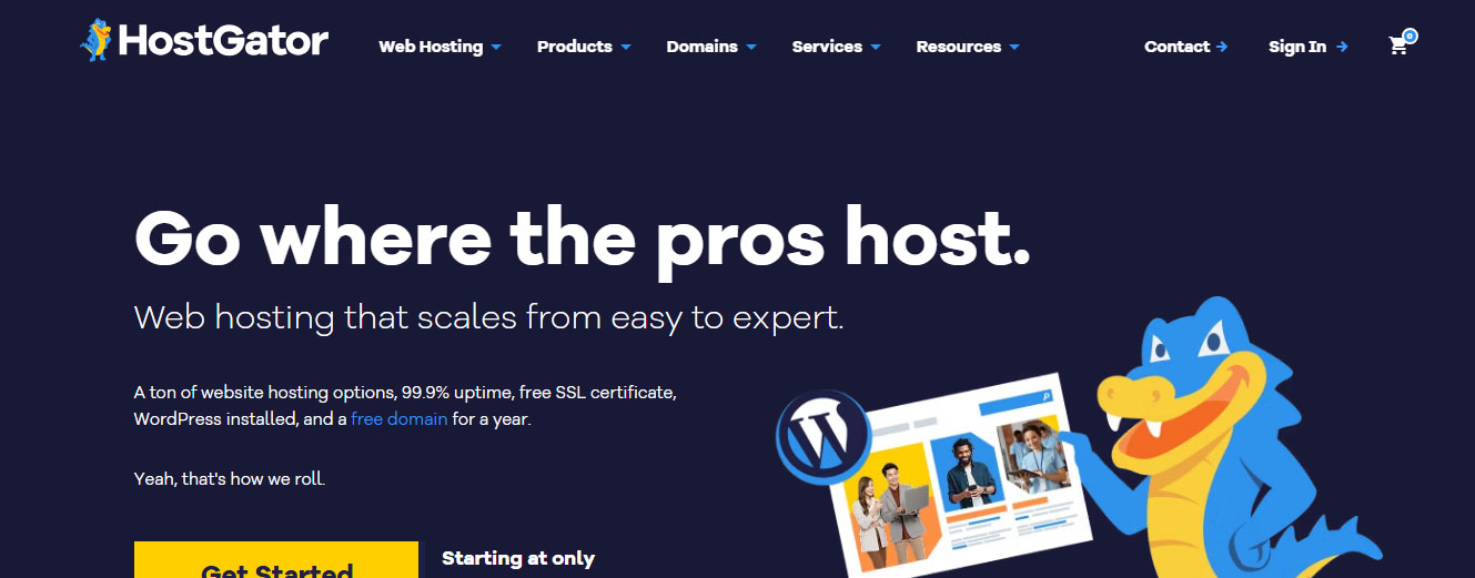 Thiết kế website HostGator