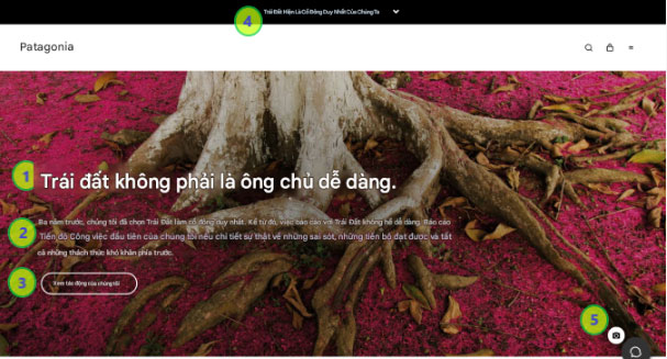 Ví dụ Người mua nhân văn