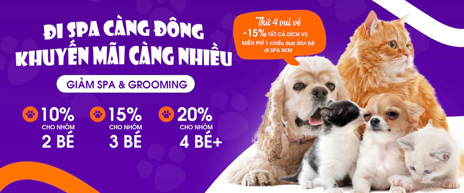 Mẫu web bán đồ thú cưng đẹp
